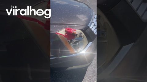 Flashlight Serves As Makeshift Headlight || ViralHog