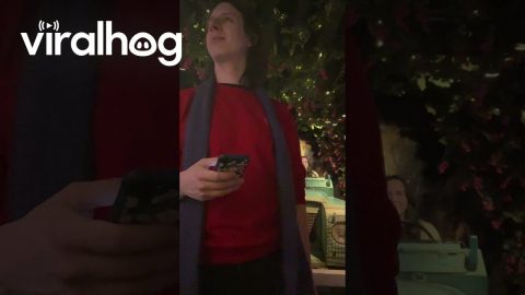 Stranger Walks Into Woman's Shot || ViralHog