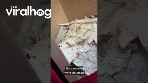 Hotel Ceiling Collapses || ViralHog