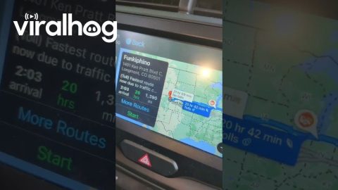 When You Ask The GPS to Take You To "Funkifino" || ViralHog