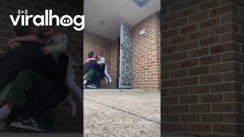 Dad Surprises Children After Work Trip || ViralHog