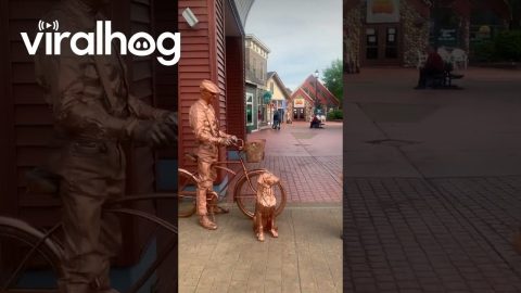 Boy Can't Stop Staring at Copper Man || ViralHog