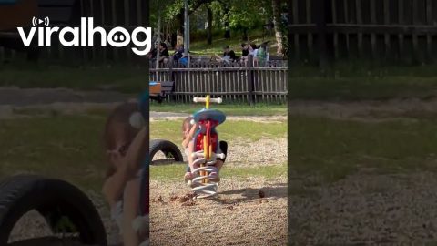 Playground For Future Bull Riders || ViralHog