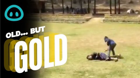 What A Hero! Elephant Comes To The Rescue || ViralHog