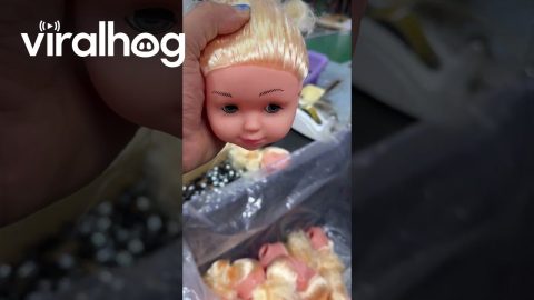 Doll Maker Inserts Eyes and Sews Hair || ViralHog