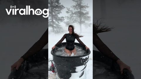 Ice Woman || ViralHog