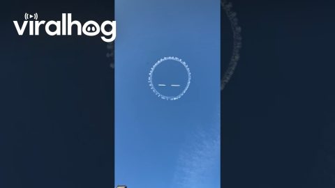 Airplane Skywrites Smiling Face || ViralHog
