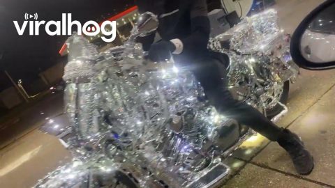 Man on Chrome Motorcycle Spotted at Gas Station || ViralHog