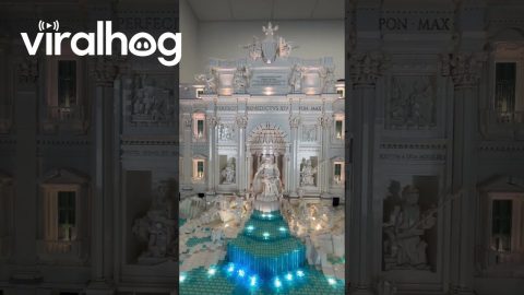 Trevi Fountain Rendered In Lego Bricks || ViralHog