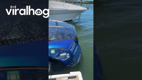 Cruisin' in a Car Boat || ViralHog