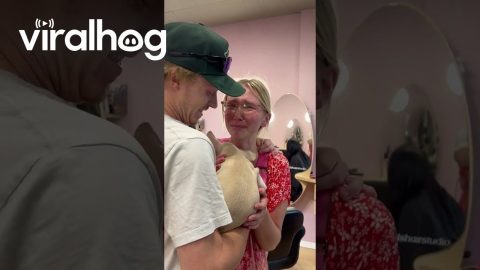 Hair Stylist Surprised With Puppy At Work || ViralHog
