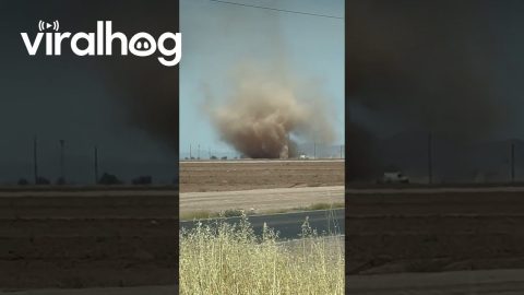 Driver Spots Huge Dust Devil in Field || ViralHog