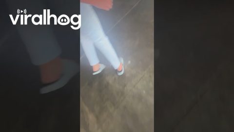 Restaurant Patrons Take Shelter From Crystal River Tornado || ViralHog