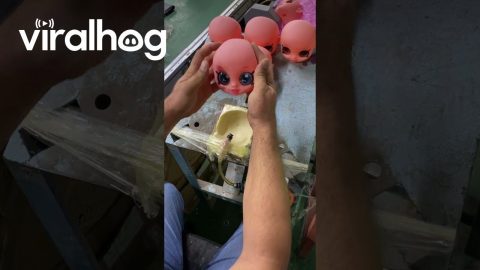 Doll Eyes Popped Into Place || ViralHog