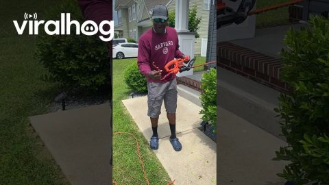 Showoff Slices Hedge Trimmer Cord || ViralHog
