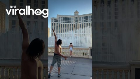 Stranger Waterbends Famous Fountains || ViralHog