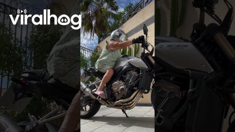 Grandma Biker || ViralHog