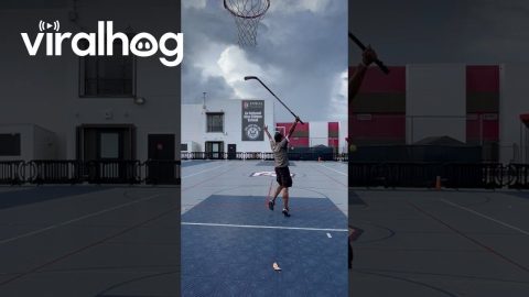 He Shoots, He Scores! || ViralHog