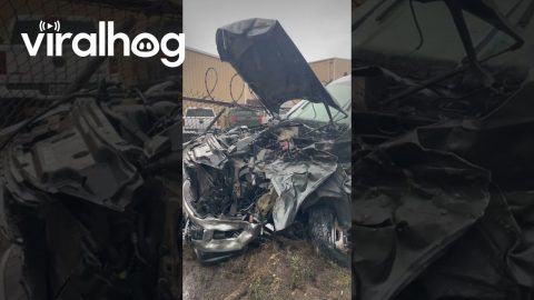 Wreckage Of Two Trucks After Head On Collision || ViralHog