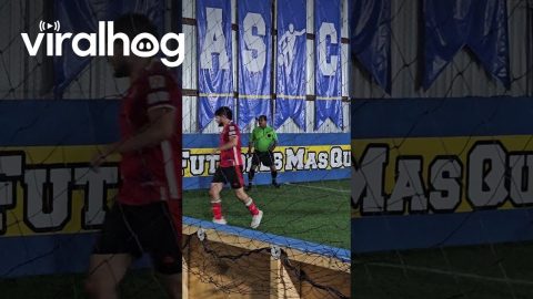 Referee's Foot Work || ViralHog