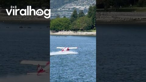 Collision Between Speed Boat and Float Plane || ViralHog