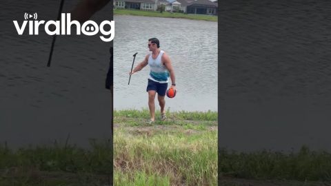 Swamp Puppy Steals Dog's Ball || ViralHog