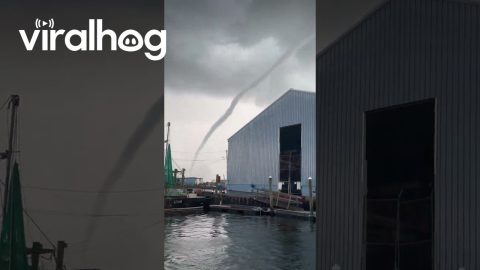 Boaters Witness Waterspout Form in Crystal River, Florida || ViralHog