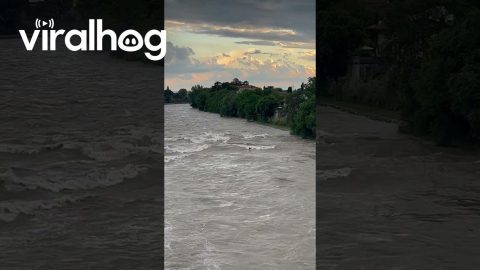 Catching A Giant River Wave || ViralHog