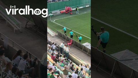 Referees Steal The Show || ViralHog