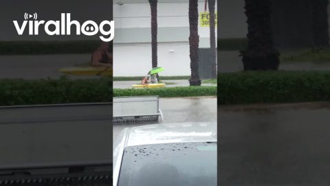 Man Kayaking on Flooded Street || ViralHog