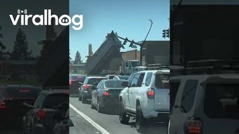 Dump Truck Destroys Traffic Light || ViralHog