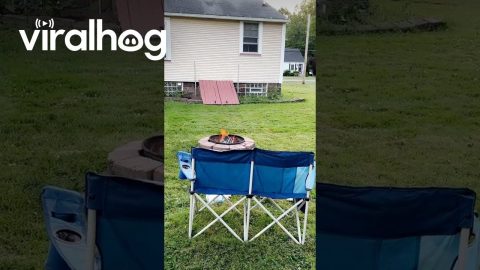 Frisbee Flies Into the Fire || ViralHog