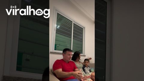 Parents Delight Son With Magic Straw Trick || ViralHog