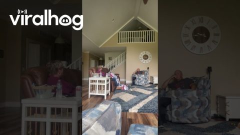Tennis Balls Rain Down From Loft || ViralHog