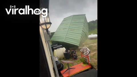 Strong Wind Blows Shed Over || ViralHog