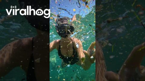 Plastic Reality Of Polluted Waters || ViralHog