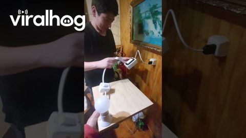School Project Yields Unintended Result || ViralHog