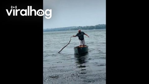 Boat Doesn't Paddleboard Well || ViralHog