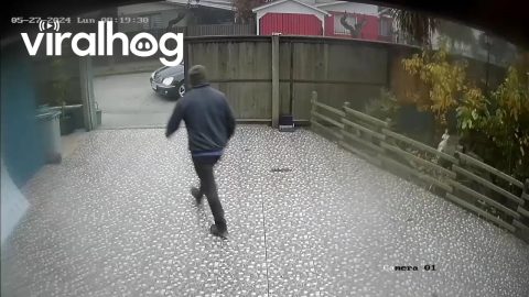 Man Slips and Falls On Slick Driveway || ViralHog