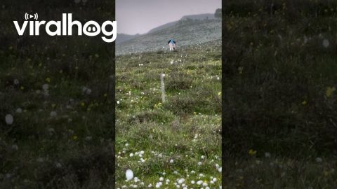 Huge Hail In The Mountains || ViralHog
