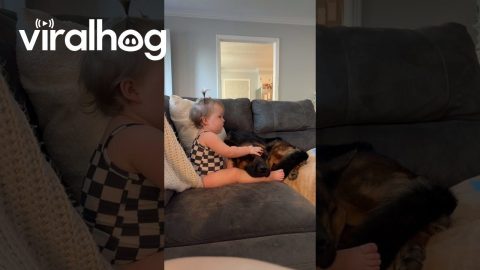 Best Friends Watch a Movie Together || ViralHog