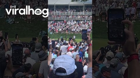 Protesters Disrupt PGA Tour's Travelers Championship || ViralHog