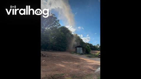Dust Devil At The Sawmill || ViralHog
