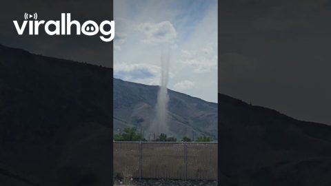 Big Dust Devil in Reno, Nevada || ViralHog