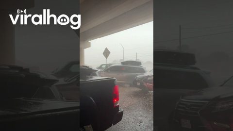 Hiding Under Bridge During Tornado Warning || ViralHog