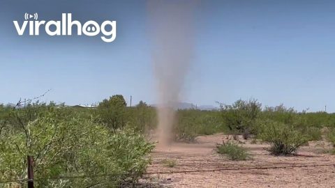 Life and Death of a Dust Devil || ViralHog