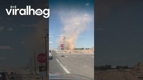 Massive Dust Devil In Arizona || ViralHog