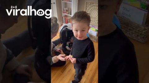 Boy Meets His Baby Sister For the First Time || ViralHog