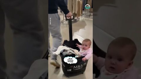 Shopping Dad Style || ViralHog