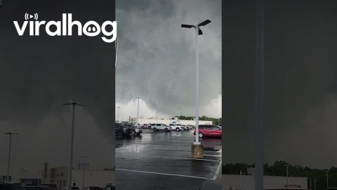 Tornado In Mount Vernon, Indiana || ViralHog